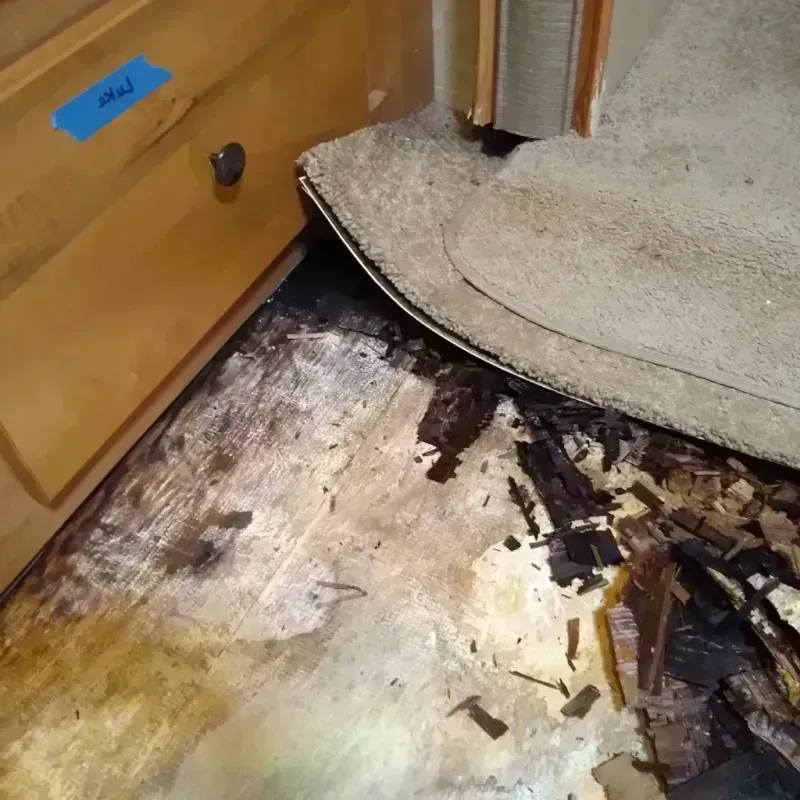 Wood Floor Water Damage in Austin, MN